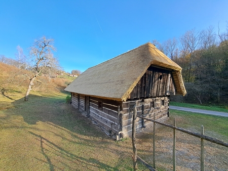 Rangusova nova kritina 2025 02